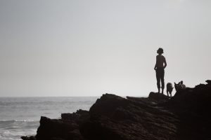 Voyager avec son chien : départ en road-trip avec nos chiens-loups de saarloos direction le Portugal et les plages de l'océan atlantique