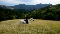 Sans bride, sans fers et sans arçon : à cheval vers la liberté avec Titania Corre, élevage MND painthorse, qualité, nature et magie